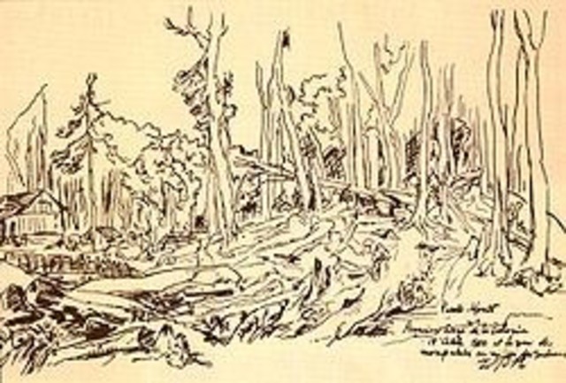 Decreto para colonizar