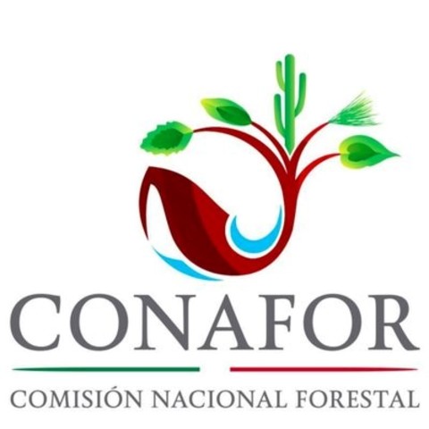 Creación de la Comisión Nacional Forestal
