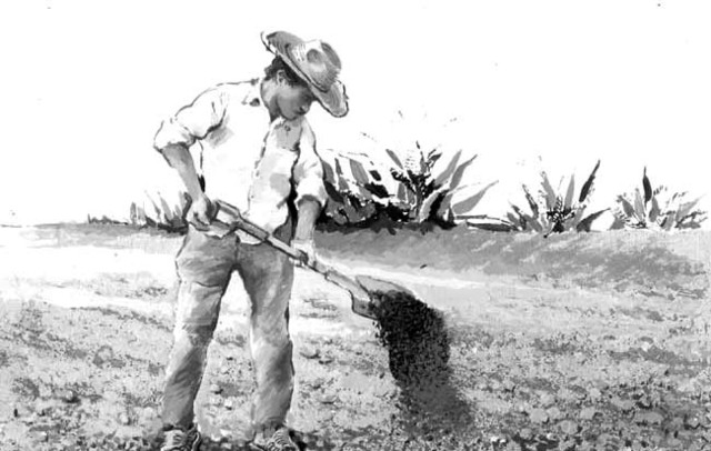 REFORMA ARTÍCULO 27 CONSTITUCIONAL