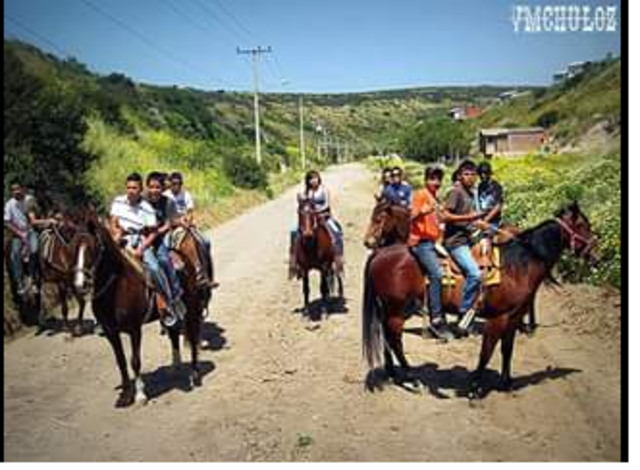 la pandilla de cuatreros
