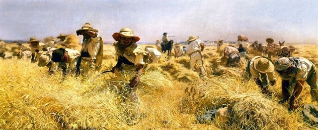 PRIMERO REPARTOS DE TIERRA