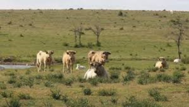 PRIMERA REGLAMENTACION SOBRE REPARTICION DE TIERRAS EJIDALES Y CONSTITUCION DE PATRIMONIO PARCELARIO EJIDAL.