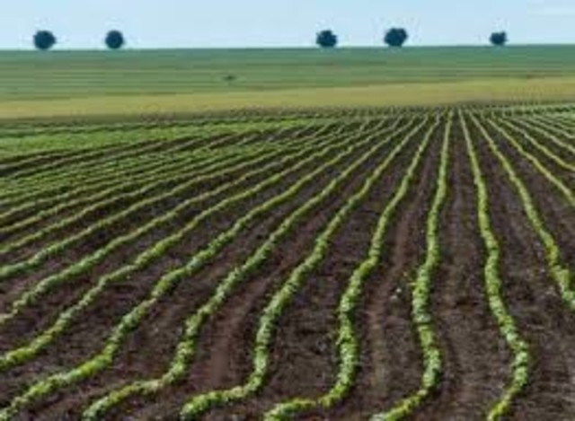 LA LEY DE PATRIMONIO EJIDAL