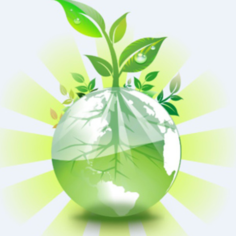 Surge la ley general del equilibrio ecológico México se compromete en la cumbre de Rio   Transformación de CEDUE a SEDESOL Surge el INE Surge la PROFEPA.