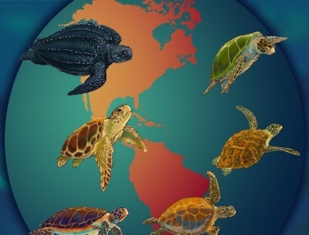 CONVENCIÓN INTERAMERICANA PARA LA PROTECCIÓN Y CONSERVACIÓN DE LAS TORTUGAS MARINAS.