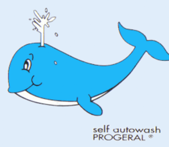 TRATADOS DONDE TIENE PRESENCIA MÉXICO