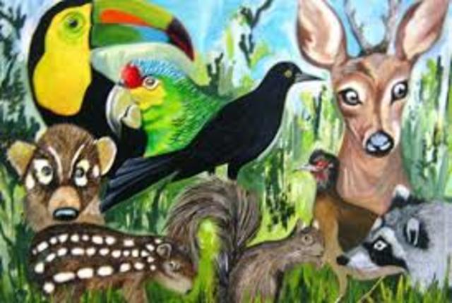 LEYES Y REGLAMENTOS EN MATERIA AMBIENTAL