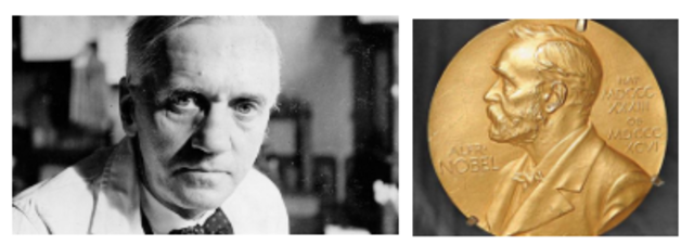 Premio Nobel por la Penicilina