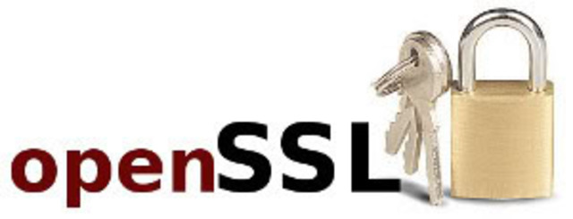 OpenSSL continiene una volnerabilidad que afecta a importantes entidades.