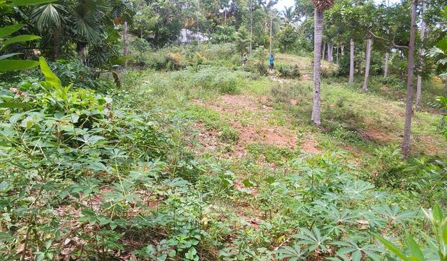 Land for school and well is secured