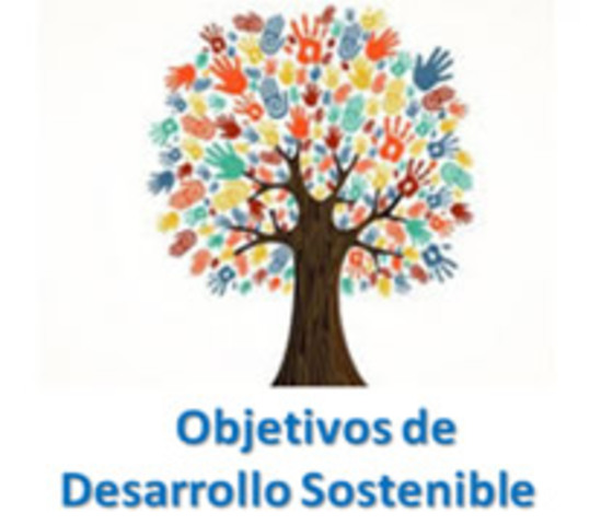 OBJETIVOS DE DESARROLLO SOSTENIBLE.