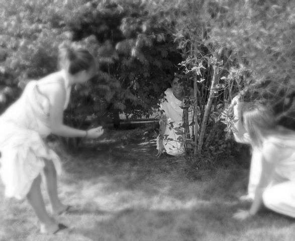 The Search of Pyrrhus