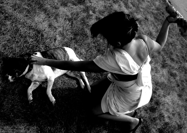 Ajaxs' Killing Spree