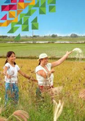 Cumbre de Río, Cumbre de la Tierra