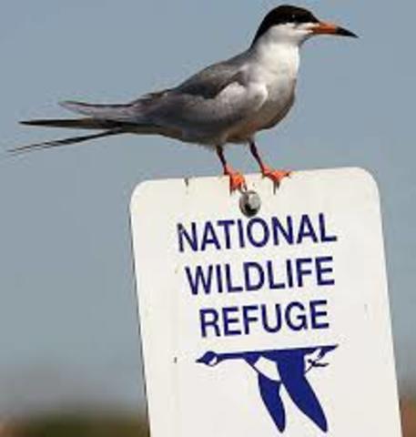 First National Wildlife Refuge established