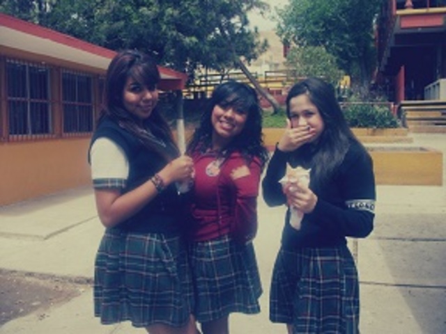 SECUNDARIA 2012.