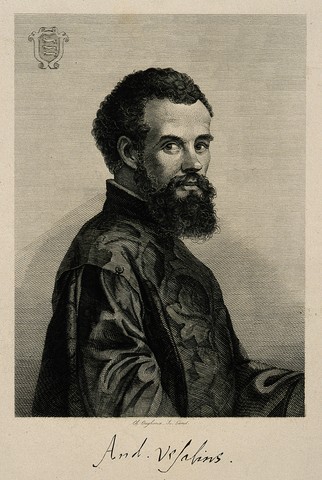 Andreas Vesalius