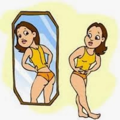 Desarrollo del cuerpo