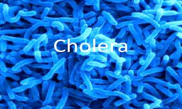 Cholera