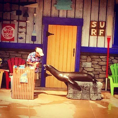 St. Louis Missouri zoo