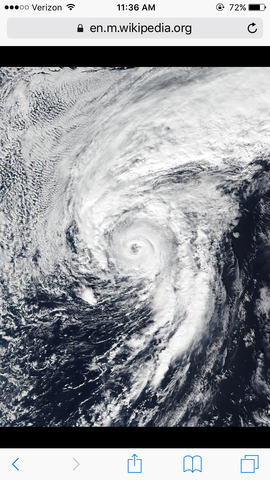 Hurricane Alex