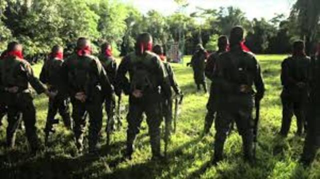 Las FARC busca controlar  al pais