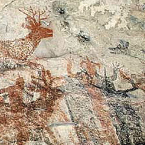 pinturas rupestres de la sierra de San Francisco.