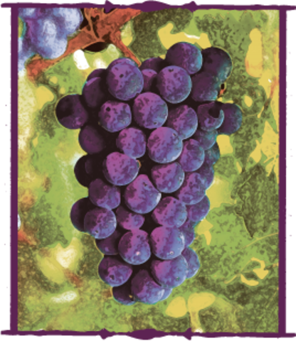 The Mass Production of Wine