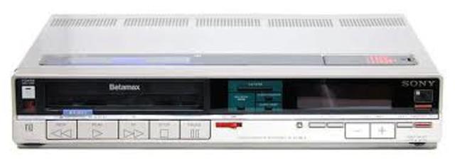 We got a Beta!!  Not a fish....