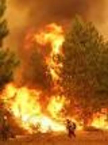 Great Fire/ Big Burn