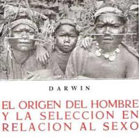 Darwin. El Origen del Hombre y la selección en relación al sexo