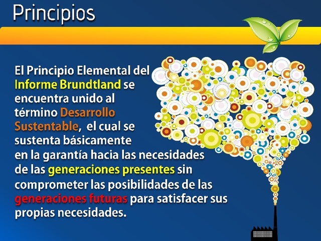 INFORME DE BRUNDTLAND