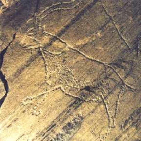 22000 a.c -10000 a.c     El valle del coa