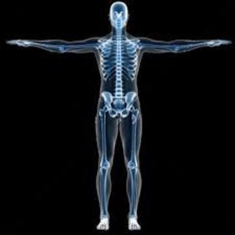 Discovery of Several Treatments