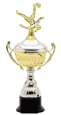 Won 1st Soccer Trophie