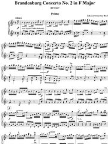 Bradenburg Concertos