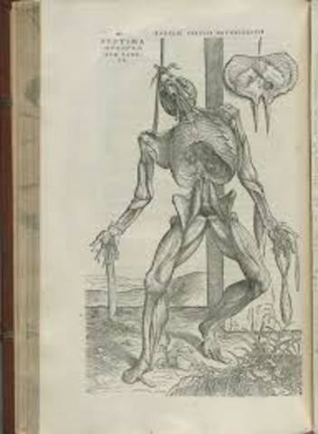 Vesalius