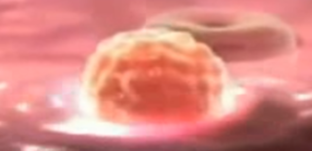 Penetra en el revestimiento uterino