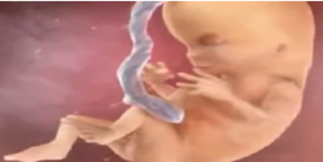 Aparecen nuevas capacidades, tiene las facciones definidas, ya no tiene la membrana entre los dedos, mueve brazos y piernas, se puede chupar el dedo etc.