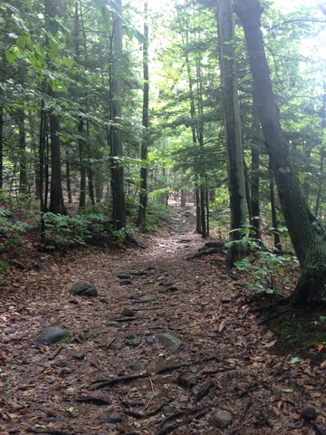 Beer as a form of currency