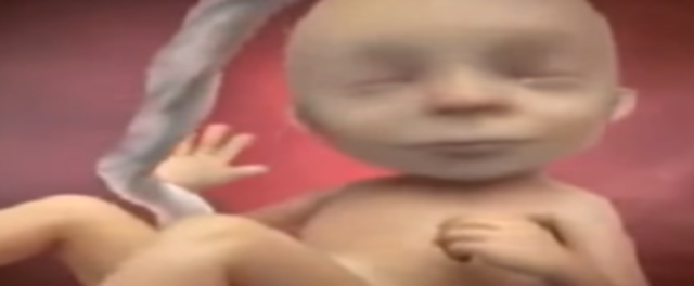 Los ojos son sencibles a la luz y reacciona frente al sonido