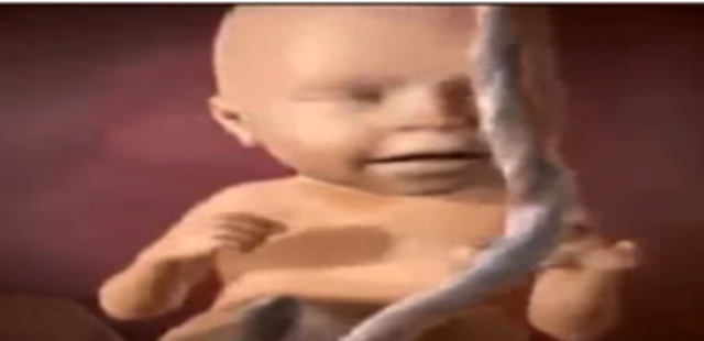 Las capacidades sensoriales y conductuales aumentan