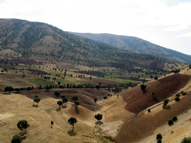 Wine Being Purposely Made