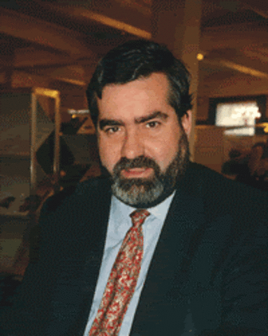 Wooldridge yJennings concepto de IA