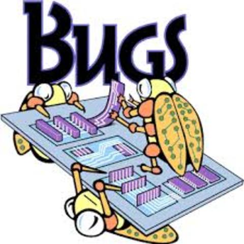 Computer Bugs