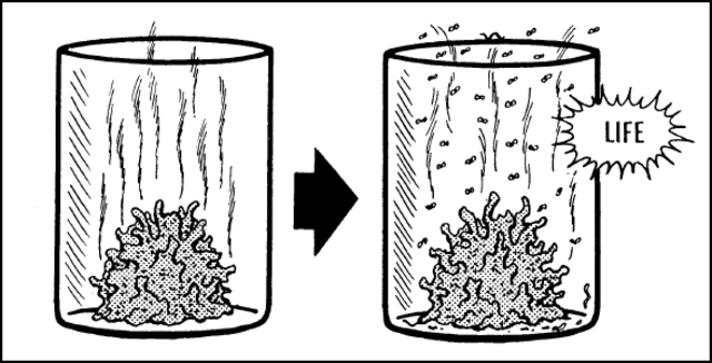 The first time "Spontaneous Generation" was thought