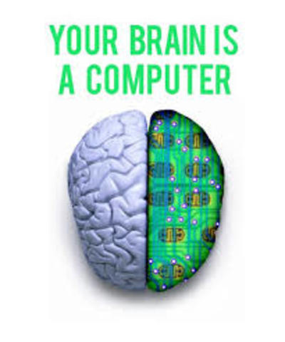 The Brain vs The Computer
