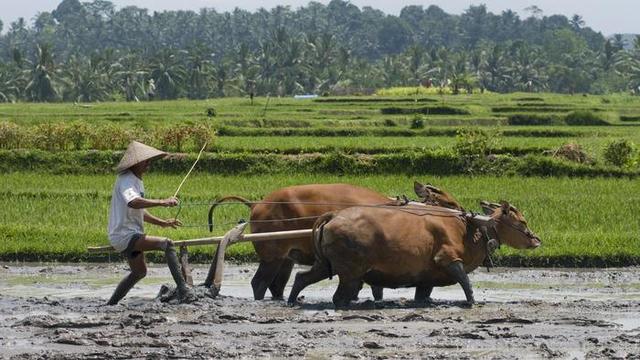 Agricultural Revolution