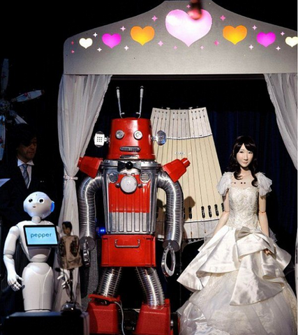 Robot's marriage