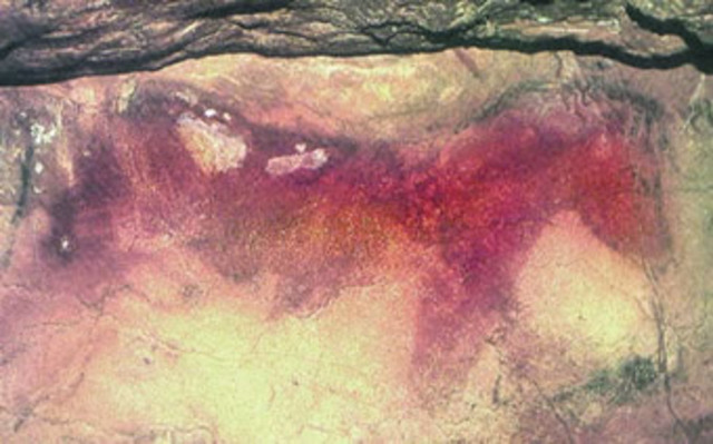 ¿Cómo se estudia el arte rupestre?